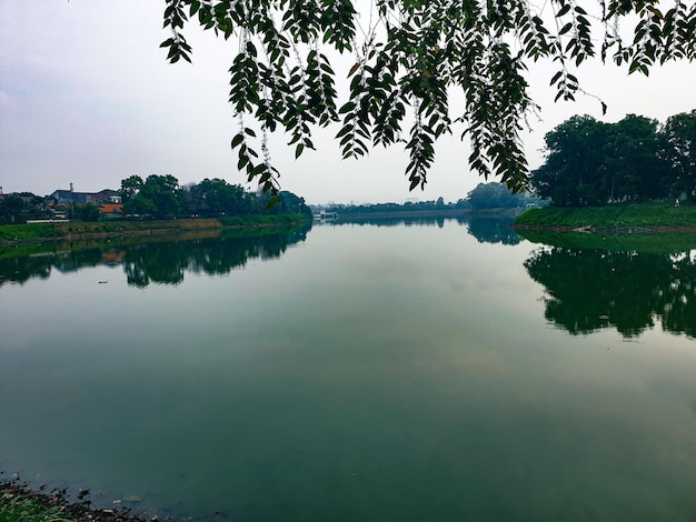 Beautiful view of the lake in the morning with of shady trees around it