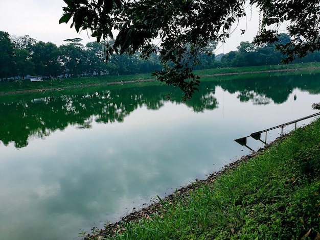 Beautiful view of the lake in the morning with of shady trees around it