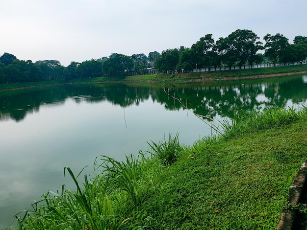 Beautiful view of the lake in the morning with of shady trees around it