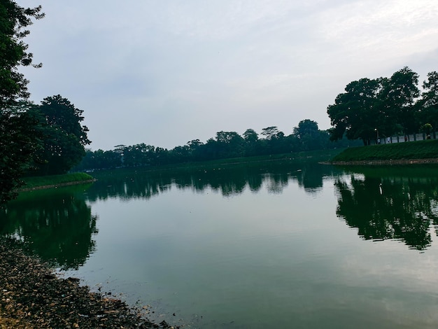 Beautiful view of the lake in the morning with of shady trees around it