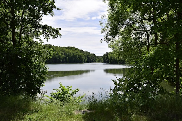 Beautiful view of a lake surrounded by trees The lake is surrounded by trees Ulyanovsk Russia