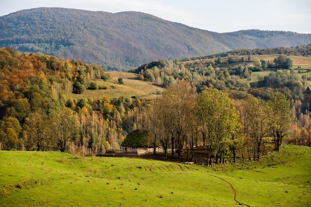 Beautiful view of a landscape with the Apuseni mountains and greenery in Romania