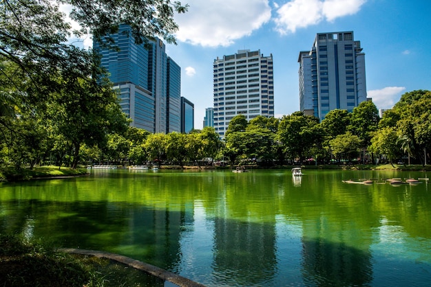 A beautiful view of Lumpini Park located in Bangkok Thailand