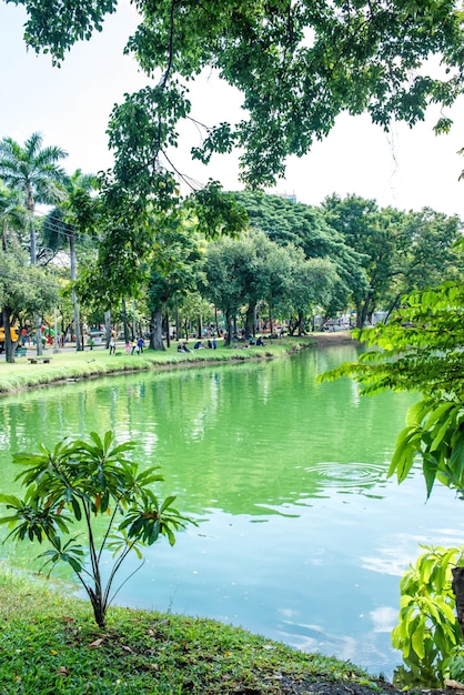 A beautiful view of Lumpini Park located in Bangkok Thailand