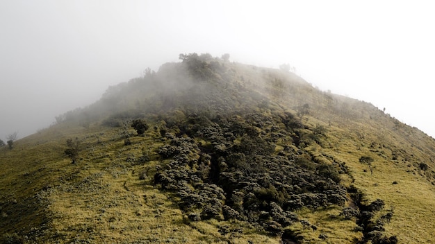 Beautiful view on Mount Merbabu