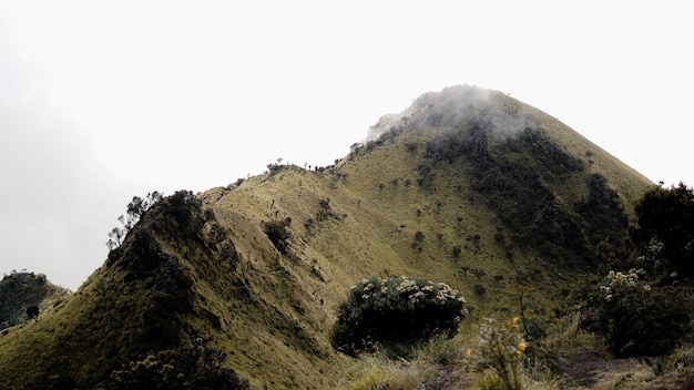 Beautiful view on Mount Merbabu