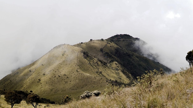 Beautiful view on Mount Merbabu