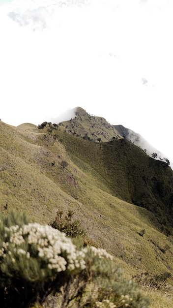 Beautiful view on Mount Merbabu