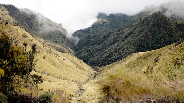 Beautiful view on Mount Merbabu