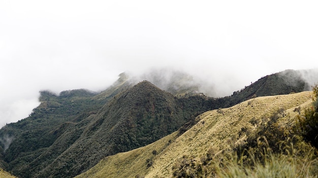 Beautiful view on Mount Merbabu