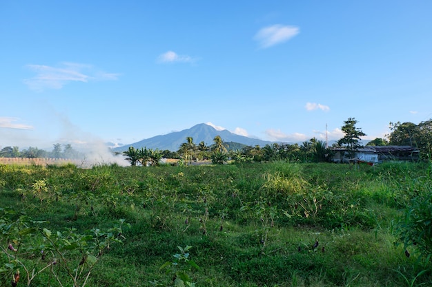 The beautiful view of Mount Salak accompanied by a stretch of eggplant on a sunny afternoon