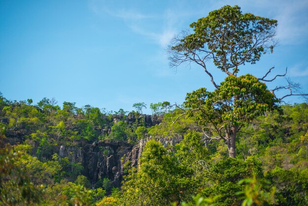 A beautiful view of nature in Chapada dos Veadeiros located in Alto Paraiso Goias Brazil