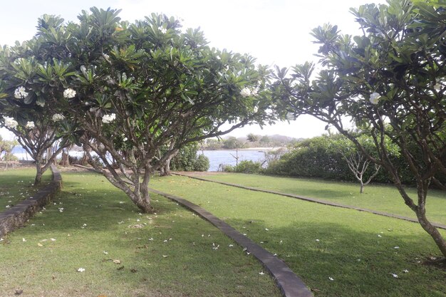 A beautiful view of Nusa Dua Beach in Bali Indonesia