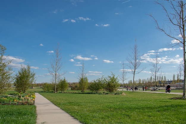 Beautiful view in the park blue sky with clouds summer sunny day in nature Ingolstadt