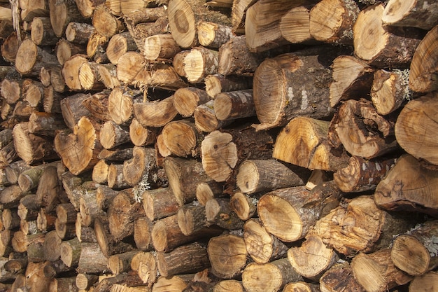 Beautiful view of a pile of logs of wood, cut and ready to be used captured at daylight