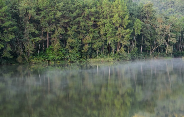 Beautiful view of pine tree reflection in a lake at Pang Oung national park in Mae Hong Son, Thailand