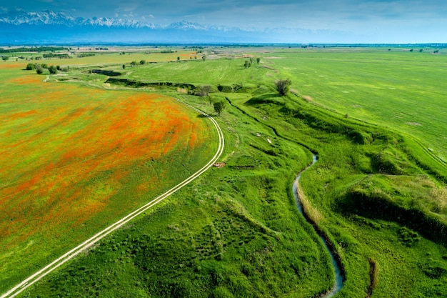 Beautiful view of the poppy field and the road, aerial photography