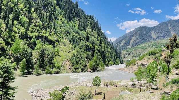 Beautiful view of rice fields in the lush green Leepa Valley Kashmir Pakistan