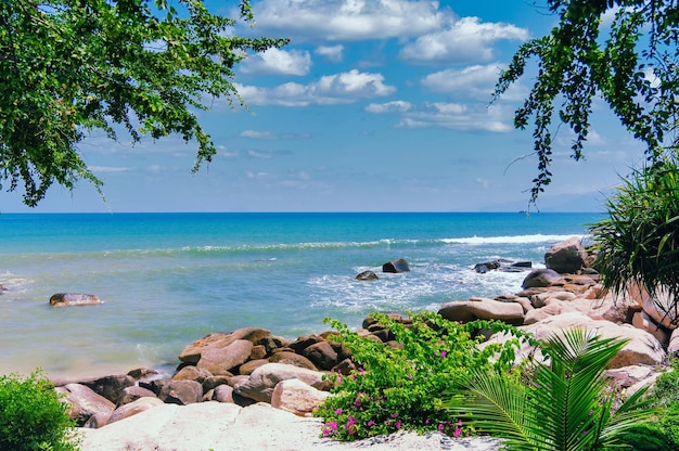 Beautiful view of the sea and rocky coast Vietnam