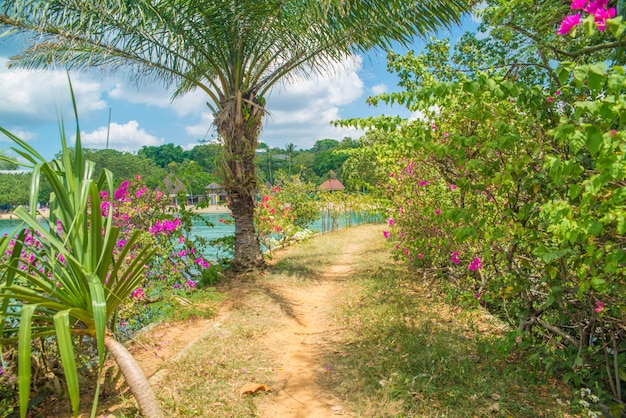 A beautiful view of Sentosa Islanda located in Singapore