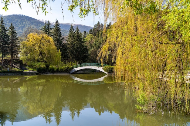 Beautiful view of small lake at Dilijan city park on sunny morning