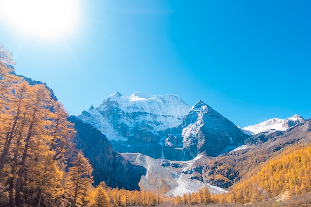 Beautiful view snow peak with  autumn leaves in yading nature reserve, Sichuan, China.