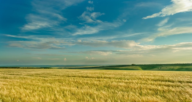 Beautiful view in a sunny afternoon