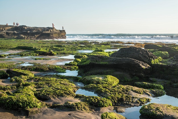 A beautiful view of Tanah Lot Temple located in Bali Indonesia