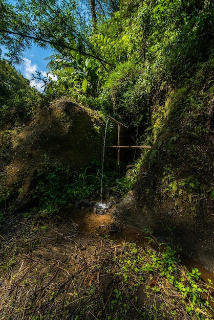 A beautiful view of trail location in Bali Indonesia