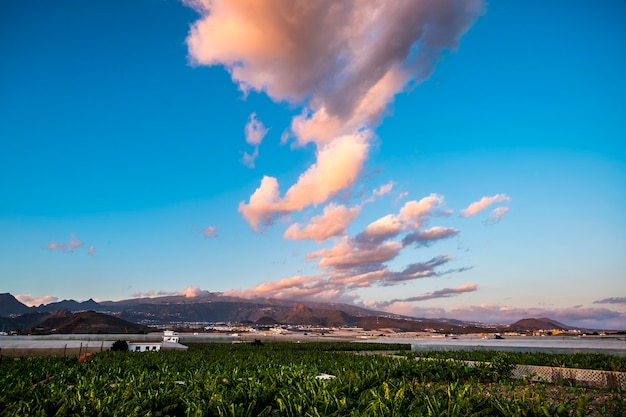 Beautiful view of tree bananas plantation and mountains behind