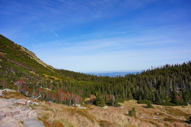 Beautiful view of the trees on the hills captured in the magnificent Karkonosze mountains, Poland