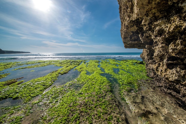 A beautiful view of Uluwatu beach located in Bali Indonesia