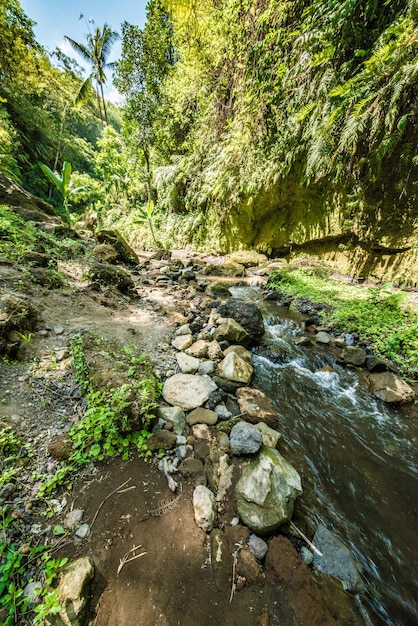 A beautiful view of waterfall in Bali Indonesia