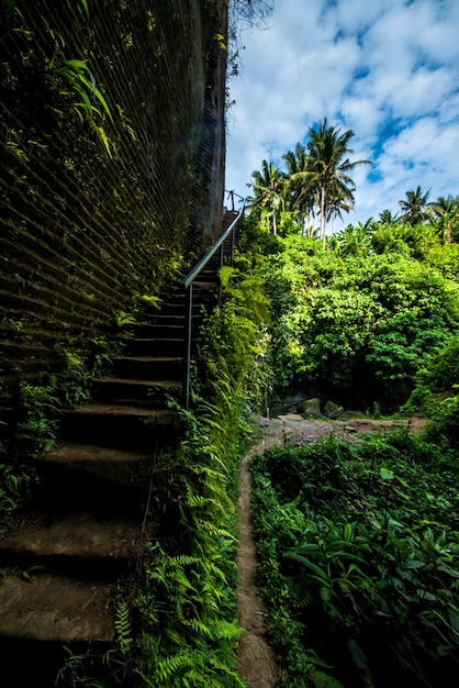 A beautiful view of waterfall in Bali Indonesia