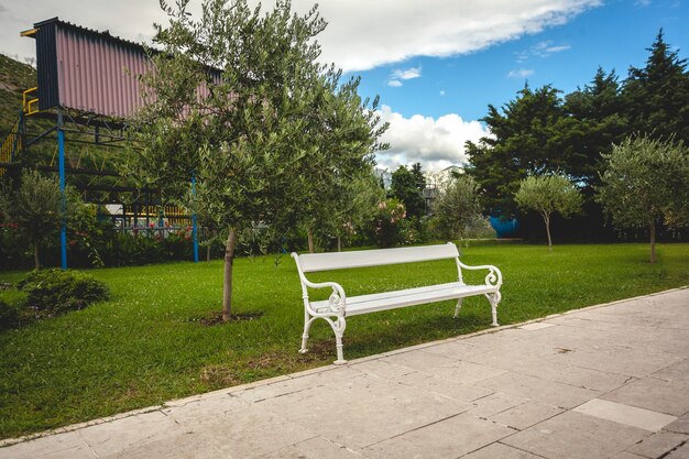 Beautiful view of white bench in park with trees and lawn