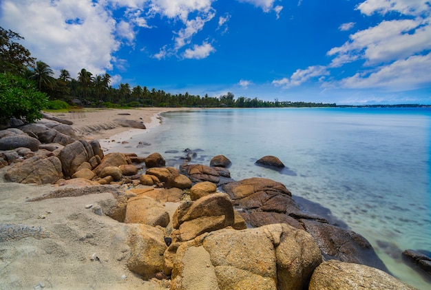 beautiful view with coconut trees along the beach on bintan island