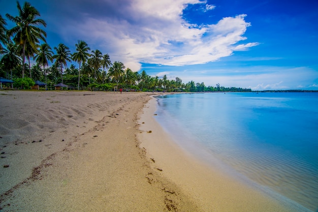 beautiful view with coconut trees along the beach on bintan island