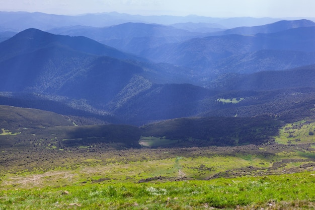 Beautiful view with meadow sun rays from Mount Hoverla It is the highest mountain of the Ukraine