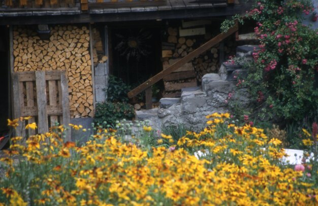 A beautiful view of a wooden house in the garden