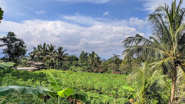 BEAUTIFUL VIEWS IN INDONESIA