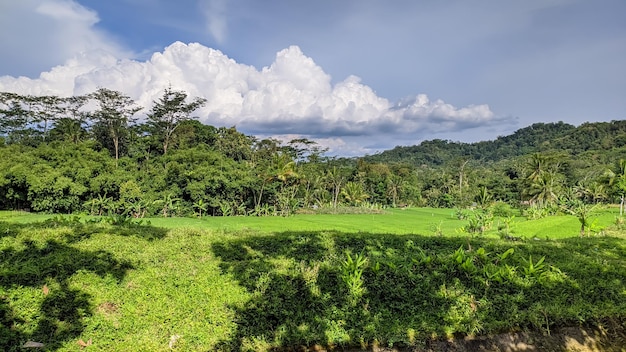 BEAUTIFUL VIEWS IN INDONESIA