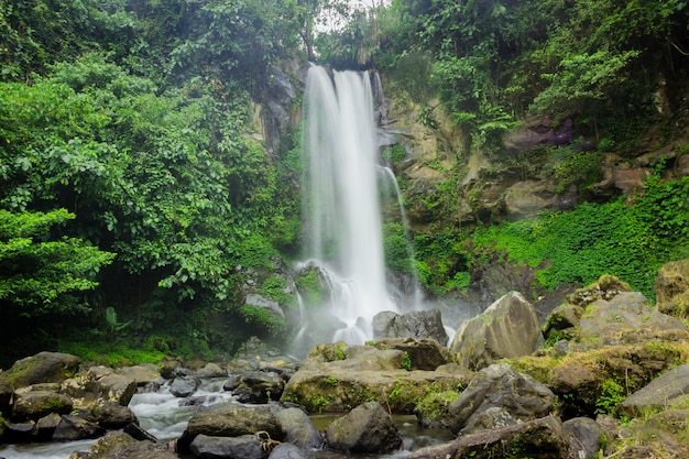 beautiful views of the waterfall on North bengkulu, indonesia