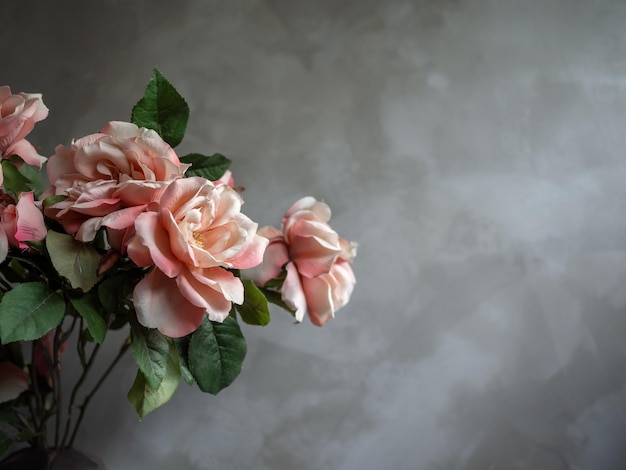 Beautiful vintage pink roses flowers in vintage ceramic vase