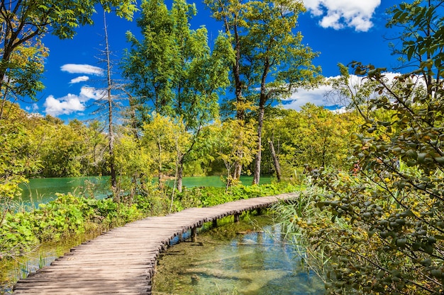 Beautiful walking path through the lake in the Plitvice National Park, Croatia