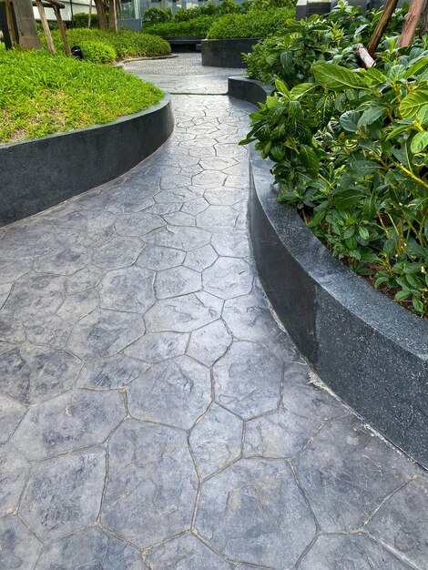 Beautiful walkway in the garden with trees