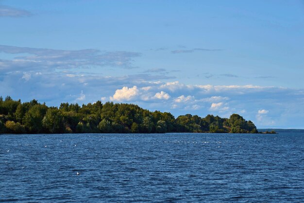 Beautiful water landscape with forest