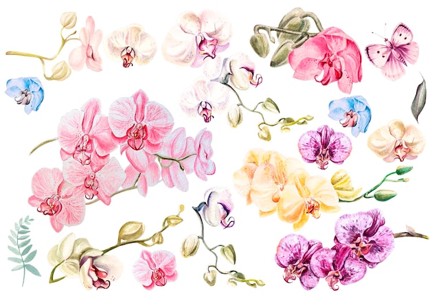 Photo beautiful watercolor set with orchids illustration