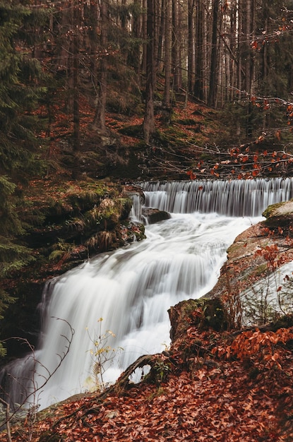 Beautiful Waterfall in autumn forest