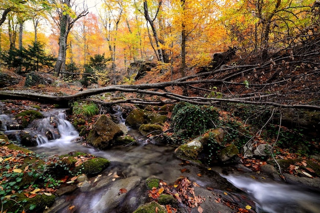 Beautiful waterfall at colorful autumn forest