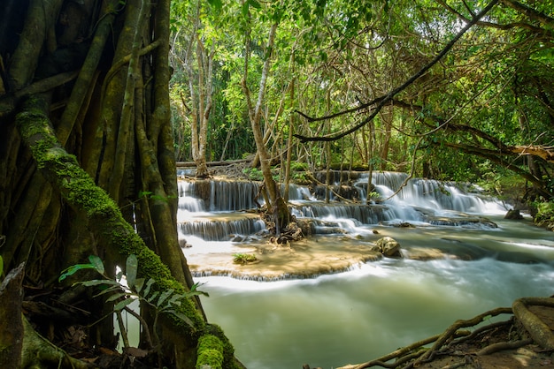 beautiful waterfall, forest background, landscape